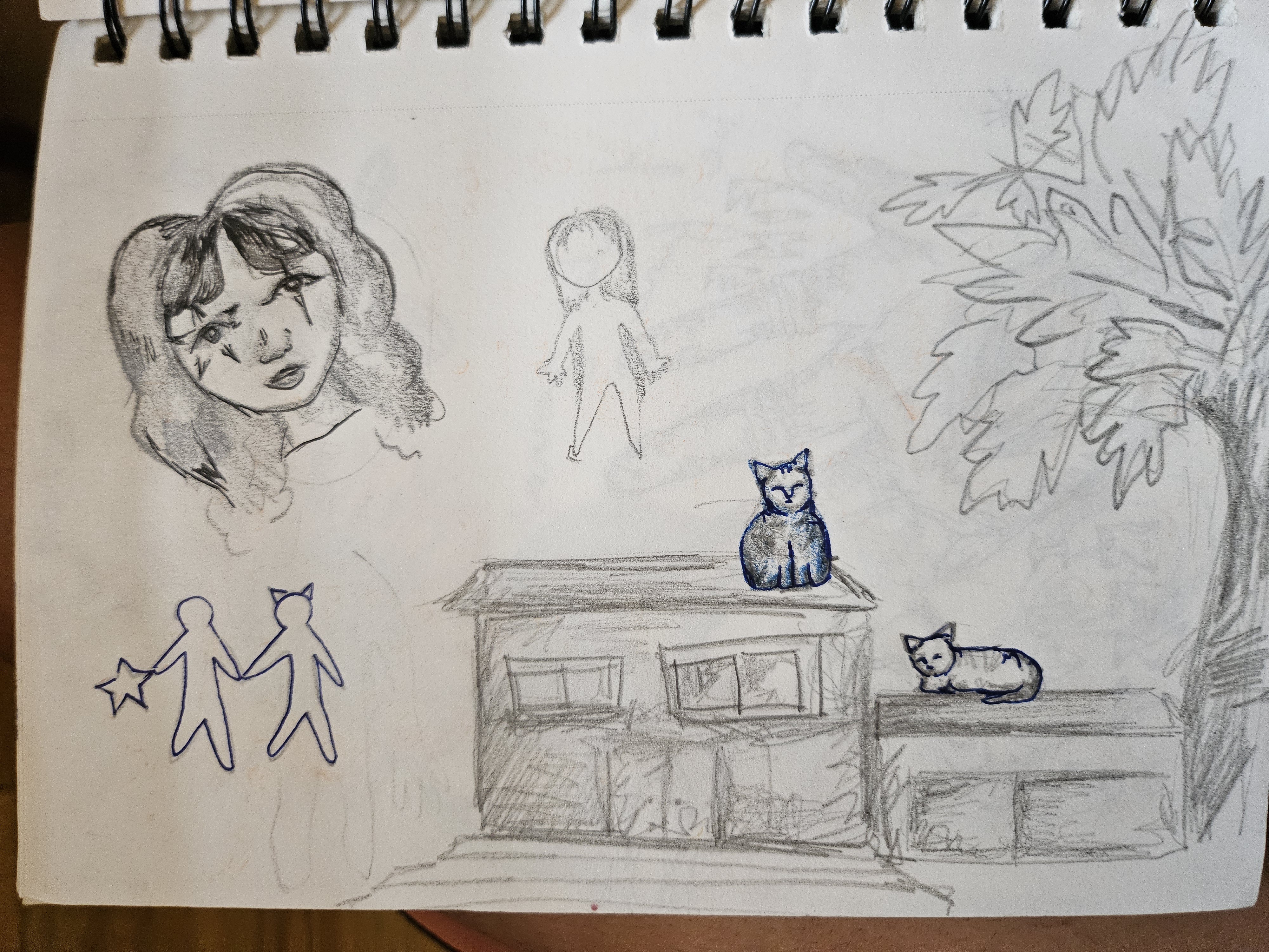 home sketch